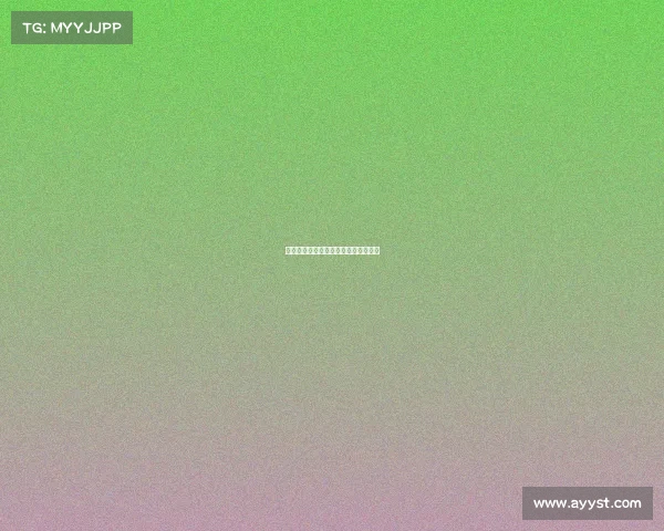 武道巅峰对决：全球武术大赛荣耀启幕